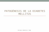 Patogénesis de la diabetes mellitus