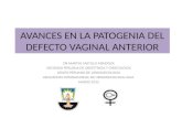 Patogenia defecto vaginal anterior