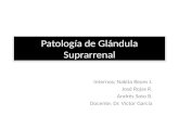 Patología suprarrenal