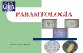 Parasitologia trematodos