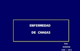 Clase chagas 2010_tm