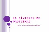 La sntesis-de-protenas-1199741542857142-3 (1)