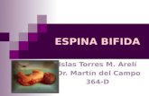 38283019 espina-bifida