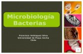 bacterias. microbiologia