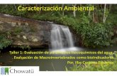 Taller nº 1. diapositivas caracterización aguas (1)