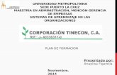 Plan de formacion Corporacion Tinecon