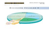 PDV: Biología Guía N°8 [4° Medio] (2012)
