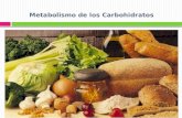 Metabolismo de carbohidratos