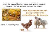 Uso de propóleos y sus extractos como aditivo en la alimentacion de aves de corral