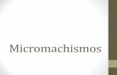 Micromachismos pw. pt. fec