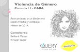 Violencia de Genero - Query Argentina