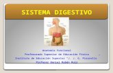 Aparato Digestivo - ¨Profesorado de Educación Física