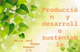 Producción y desarrollo sustentable