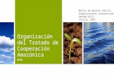 Organización del tratado de cooperación amazónica