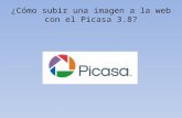 ¿Cómo subir una imagen a la web con Picasa?