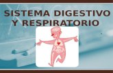Sistema digestivo y respiratorio