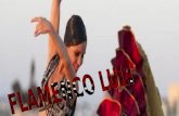 Flamenco luli