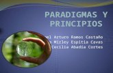 Paradigmas y principios