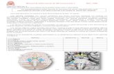 Manual de microanatomia 1, laboratorio  9