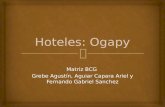 Hoteles ogapy matriz bcg