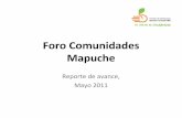 Presentación comunidades mapuche