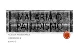 Malaria o Paludismo, características, tipos