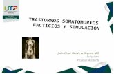 Clase somatomorfos  facticios- simulación 2015