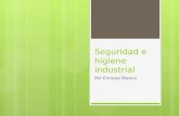 Seguridad e higiene industrial, Tipos de riesgos