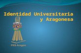 Identidad Universitaria y Aragonesa.