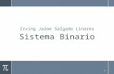 Sistema Binario