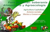 Agricultura Capitalista: Actores sociales; Efectos y Consecuencias