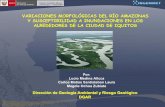 Variaciones morfológicas del Río Amazonas y susceptibilidad a inundaciones en los alrededores de laciudad de Iquitos