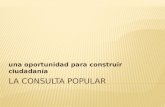 Consulta Popular 2011