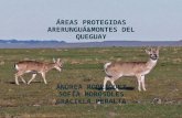 Areas protegidas arerungua_y_montes_del_quegua