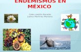 Endemismos en México