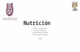 Nutrición, lactancia materna, desnutrición y obesidad