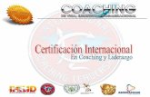 Certificación Internacional ICL 2015