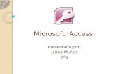Microsoft  access
