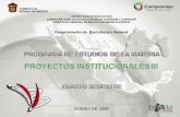 Proyectos institucionales iii