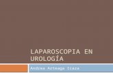 Laparoscopia urologia