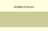 Biomoleculas enfermería