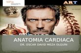 Alteraciones en la anatomia cardiaca