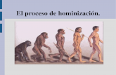 Presentación hominización