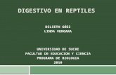 Digestivo en reptiles veaaa