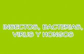 Insectos,Bacterias,Virus Y Hongos