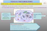 8   metabolismo celular