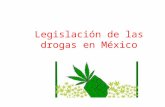 Legislación de las drogas en méxico
