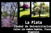 La Plata ciudad universitaria de las diagonales