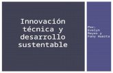 Innovación técnica y desarrollo sustentable