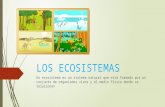 Los ecosistemas